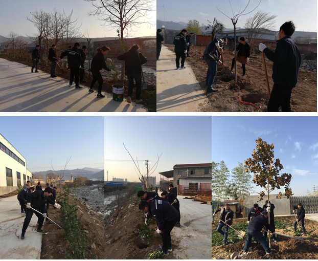 寶雞捷銳“迎春風(fēng)，綠家園”植樹節(jié)(圖1)