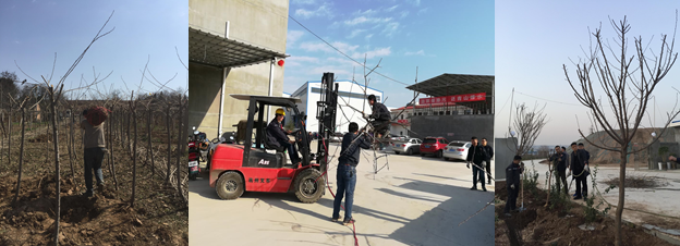 寶雞捷銳“迎春風(fēng)，綠家園”植樹節(jié)(圖2)